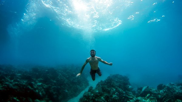 Où trouver les meilleures plages pour le snorkeling à Hawaï?